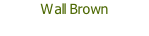 Wall Brown